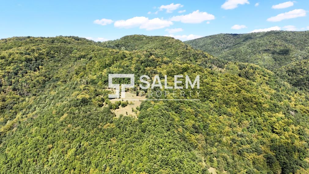 Rozsiahly pozemok na samote s nádhernými výhľadmi -Žarnovica