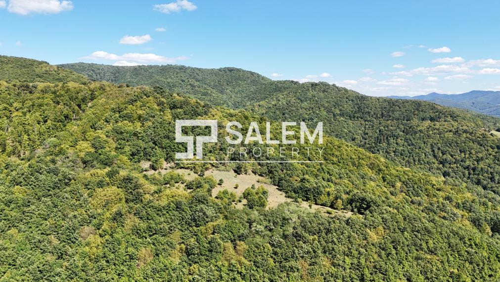 Rozsiahly pozemok na samote s nádhernými výhľadmi -Žarnovica