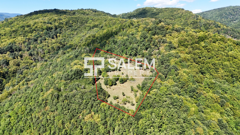 Rozsiahly pozemok na samote s nádhernými výhľadmi -Žarnovica