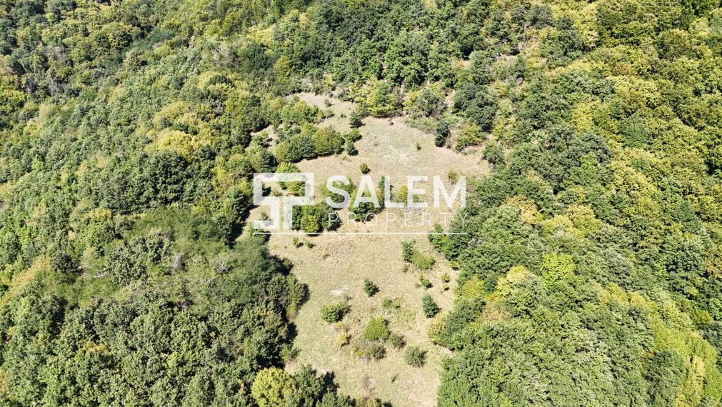 Rozsiahly pozemok na samote s nádhernými výhľadmi -Žarnovica