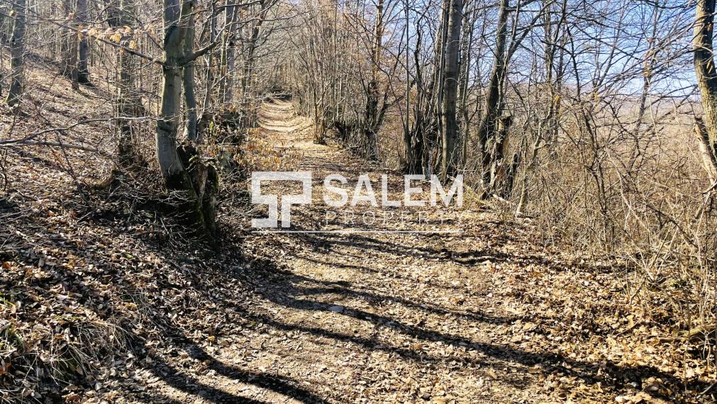 Rekreačný pozemok s výhľadom v Banskej Štiavnici – Štefultov