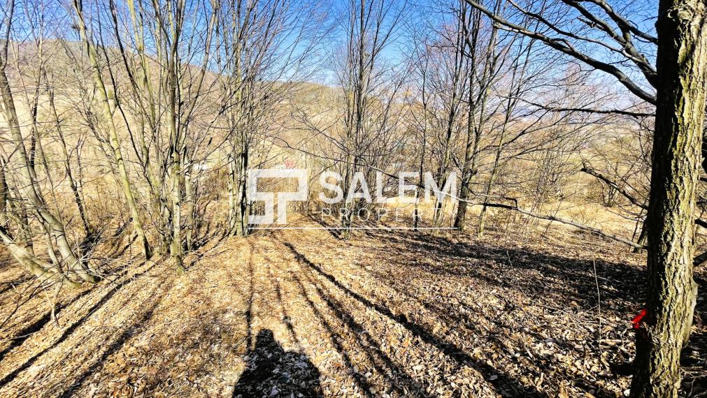 Rekreačný pozemok s výhľadom v Banskej Štiavnici – Štefultov