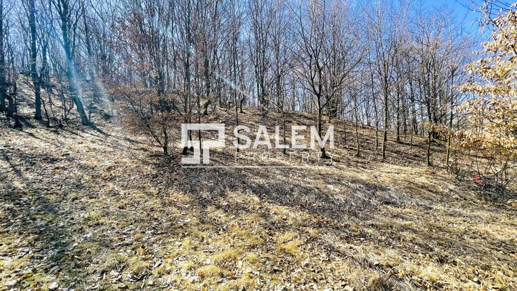 Rekreačný pozemok s výhľadom v Banskej Štiavnici – Štefultov